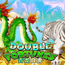 Double Fortune